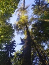 fuchur_Easy-Resize.com_.jpg