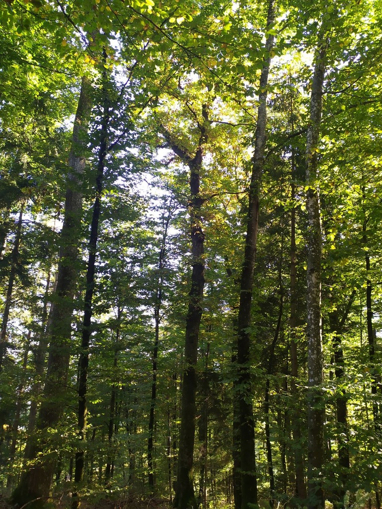 1665256419925_Easy-Resize.com_.jpg