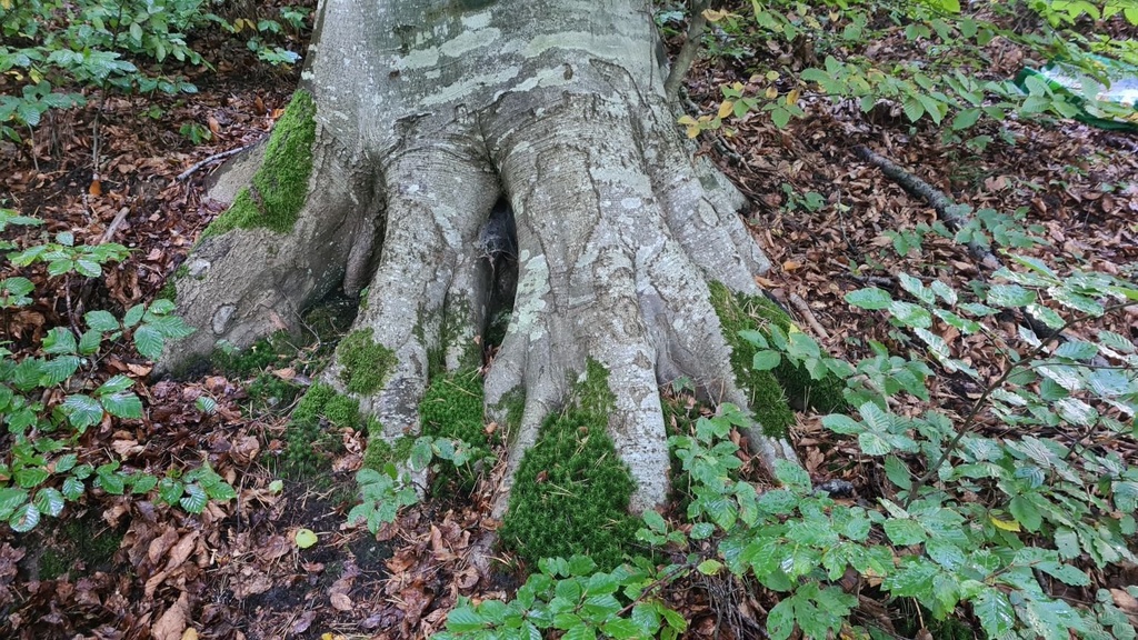Doppelruessel_3_1500px.jpg