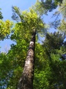 amazone_Easy-Resize.com_.jpg