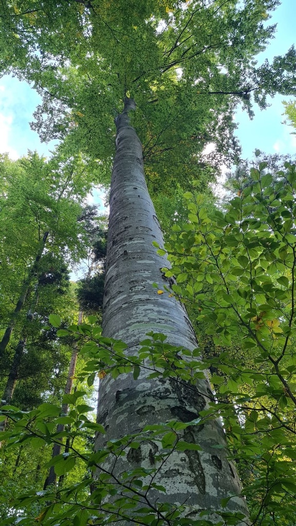 Doppelruessel_4_1500px.jpg