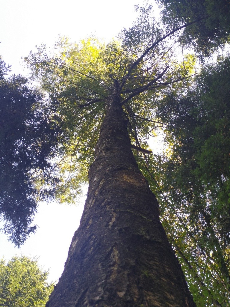 1665135148936_Easy-Resize.com_.jpg