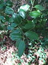 1663595674855_Easy-Resize.com_.jpg