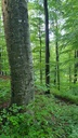 Doppelruessel_6_1500px.jpg