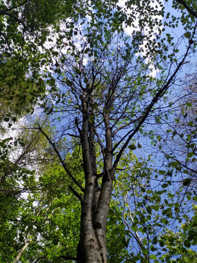 umbelico-del-mondo_Easy-Resize.com_.jpg