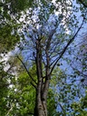 umbelico-del-mondo_Easy-Resize.com_.jpg