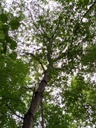 1663263868423_Easy-Resize.com_.jpg