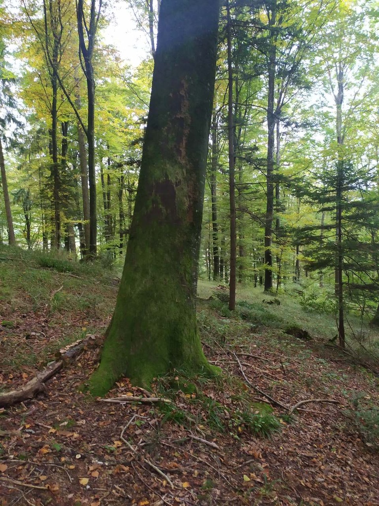 1665678989046_Easy-Resize.com_.jpg