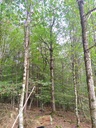 1663261937464_Easy-Resize.com_.jpg