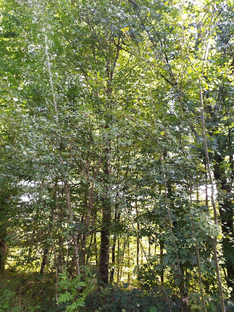 1663597966804_Easy-Resize.com_.jpg