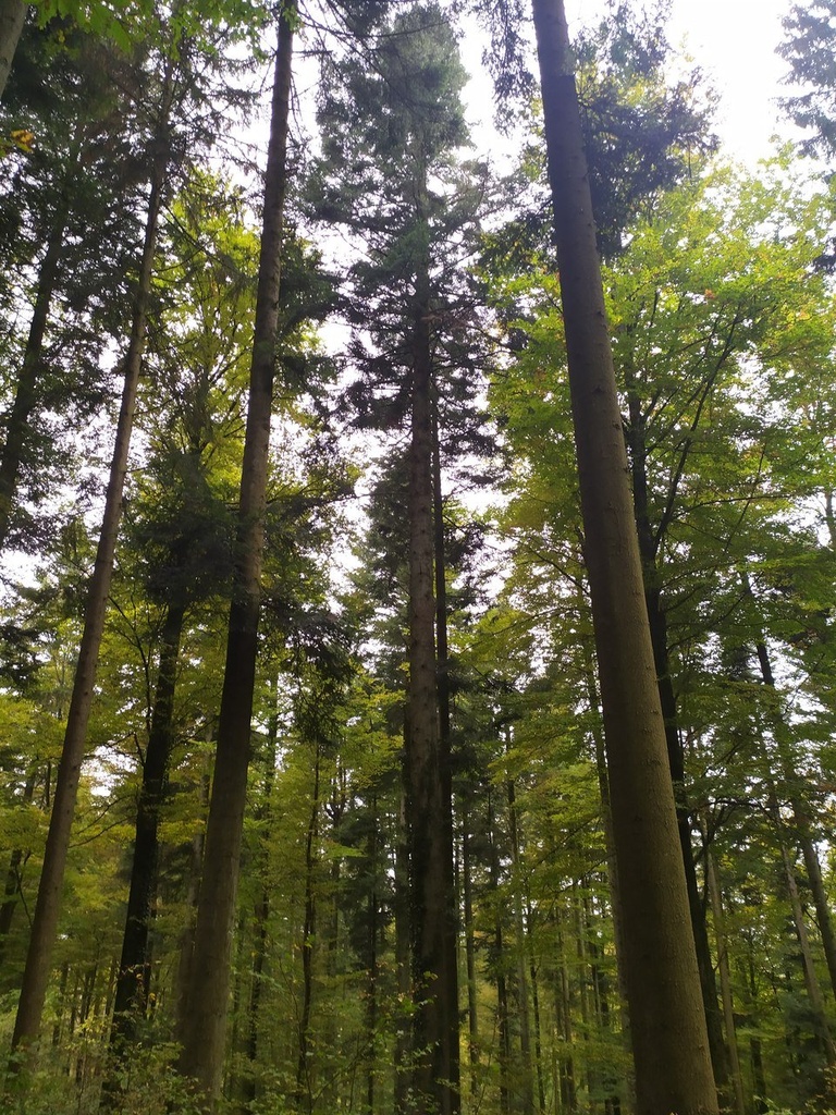 1665665042829_Easy-Resize.com_.jpg