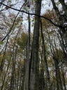 Samurai-Buche-6web-4_Easy-Resize.com_.jpg