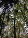 Totembuche-6web-4_Easy-Resize.com_.jpg