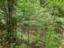 Vogel-Podium_3_1500px.jpg