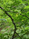 Vogel-Podium_4_1500px.jpg