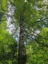 Vogel-Podium_5_1500px.jpg