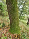 220-7_Easy-Resize.com_.jpg