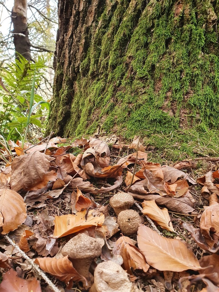 220-9_Easy-Resize.com_.jpg