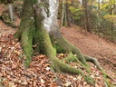 217-8_Easy-Resize.com_.jpg