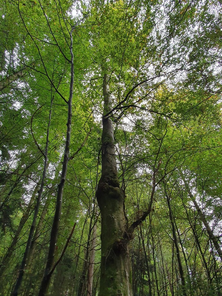 861021-044-5_Easy-Resize.com_.jpg