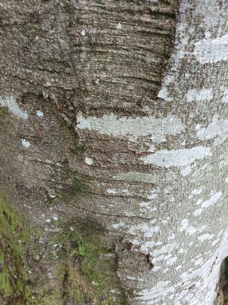 861021-041-4_Easy-Resize.com_.jpg