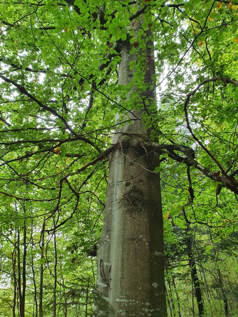 861021-041-7_Easy-Resize.com_.jpg
