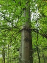 861021-041-7_Easy-Resize.com_.jpg