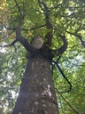 Yuribaum-6_Easy-Resize.com_.jpg
