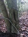 Palmenduo-4_Easy-Resize.com_.jpg