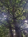Palmenduo-5_Easy-Resize.com_.jpg