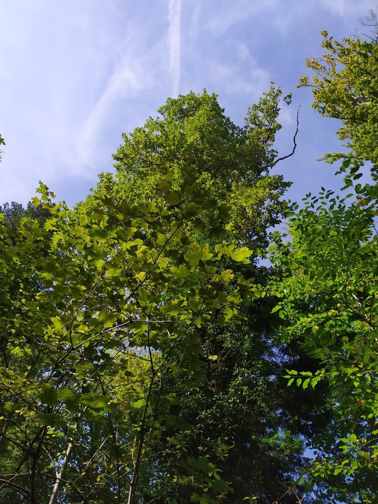 1664003588698_Easy-Resize.com_.jpg
