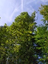 1664003588698_Easy-Resize.com_.jpg