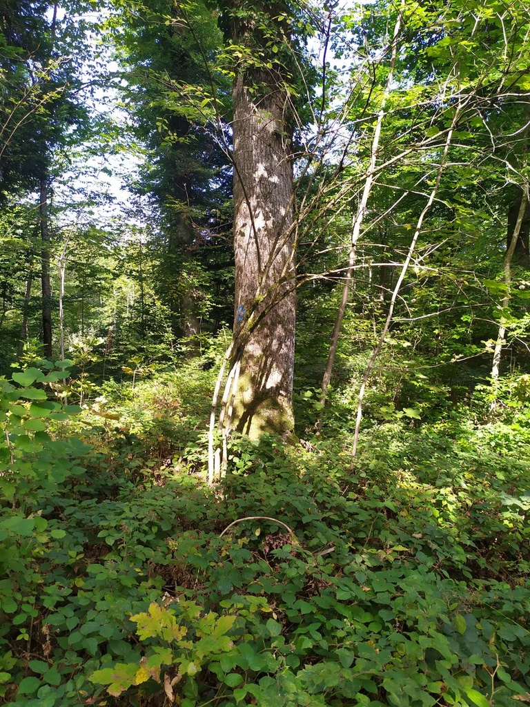 1664003636656_Easy-Resize.com_.jpg
