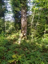 1664003636656_Easy-Resize.com_.jpg
