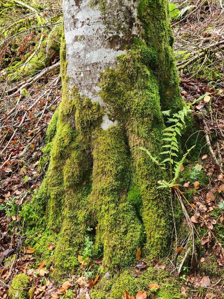Rueckenwind_4_1500px.jpg