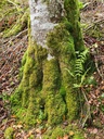 Rueckenwind_4_1500px.jpg