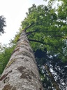 Rueckenwind_5_1500px.jpg