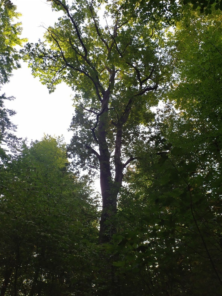 1664026372742_Easy-Resize.com_.jpg