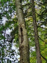 221-4_Easy-Resize.com_.jpg