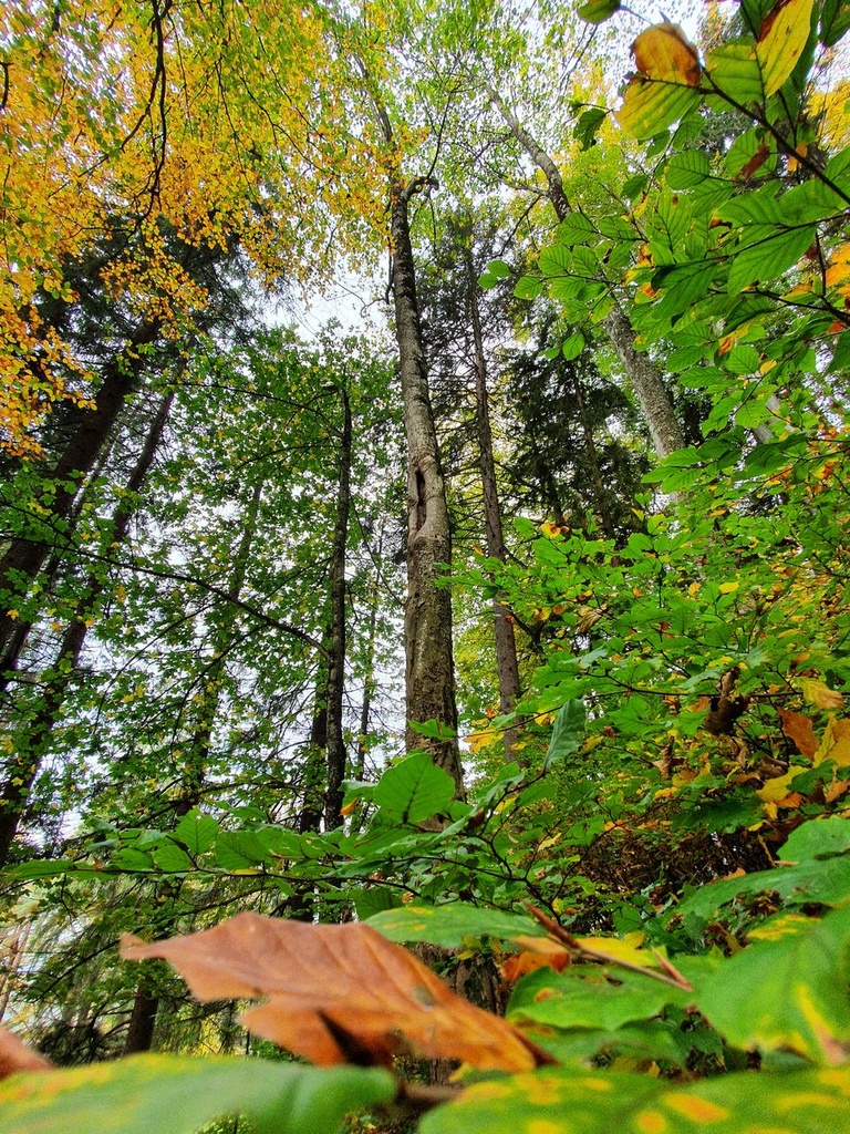 221-5_Easy-Resize.com_.jpg