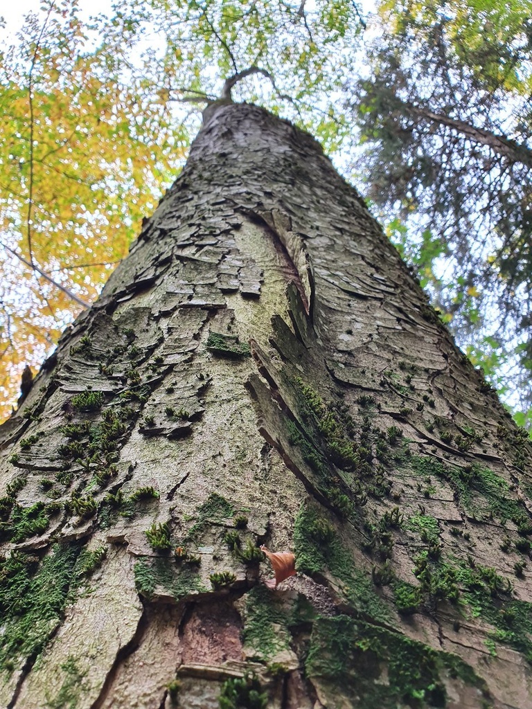 221-10_Easy-Resize.com_.jpg