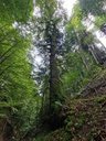 Zwergenhoehle_2_1500px.jpg