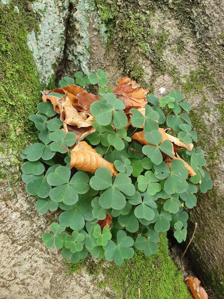 218-2_Easy-Resize.com_.jpg