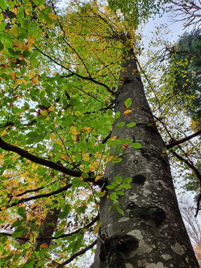 218-5_Easy-Resize.com_.jpg