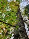 218-5_Easy-Resize.com_.jpg