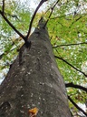 218-7_Easy-Resize.com_.jpg