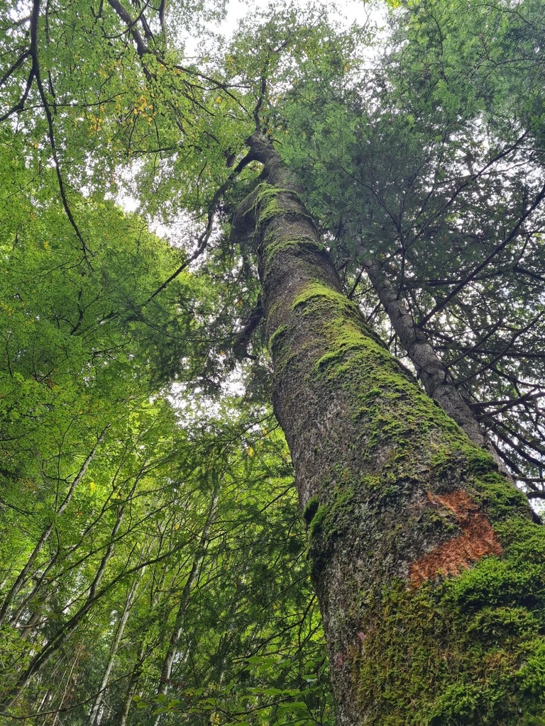 Zwergenhoehle_3_1500px.jpg