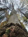 219-3_Easy-Resize.com_.jpg