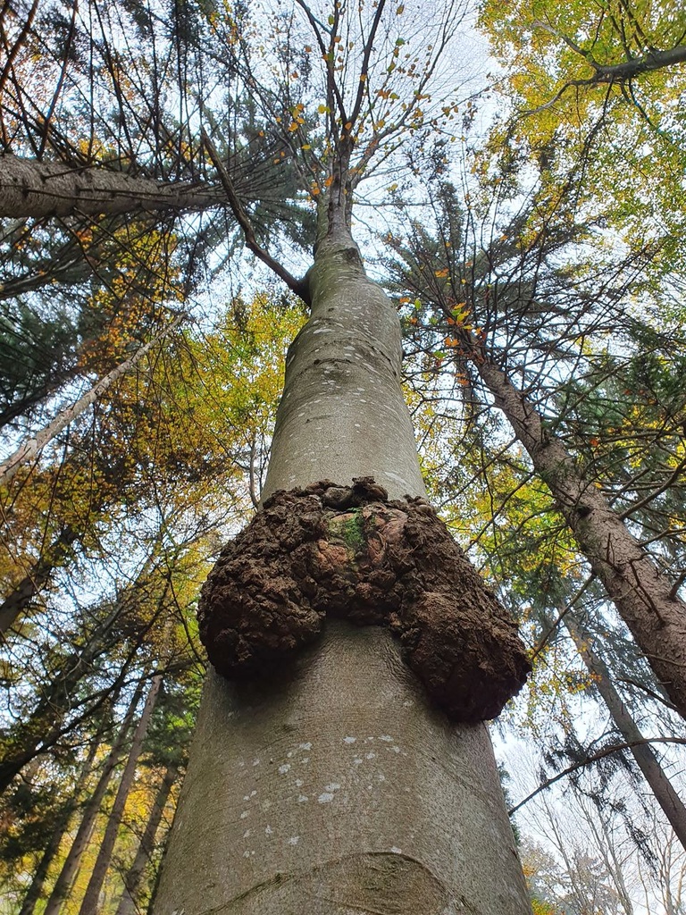 219-6_Easy-Resize.com_.jpg