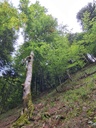 Chuegelibahn-kompr.-3.jpg